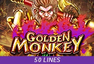 Golden Monkey - CAMPSLOT138