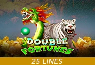 Double Fortunes - CAMPSLOT138