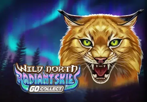 Wild North Radiant Skies GO Collect - CAMPSLOT138