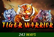 Tiger Warrior - CAMPSLOT138