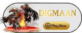 Digman - CAMPSLOT138